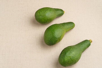 Alpukat or Avocado (Persea americana), ripe and fresh.
