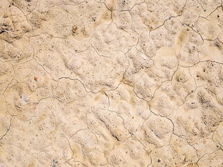 dry cracked earth background. ground texture brown desert soil.