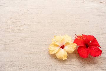 Fototapeta na wymiar red hibiscus flower on sand background