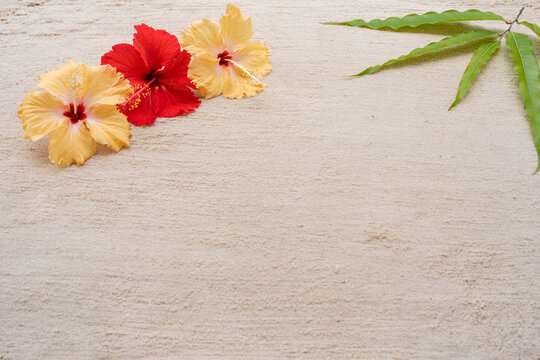 Hibiscus flowers on pattern sand background.