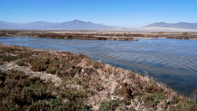 The image shows a wetland in northern Chile.