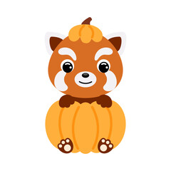 Cute little red panda sitting in a pumpkin. Cartoon animal character for kids t-shirts, nursery decoration, baby shower, greeting card, invitation. Vector stock illustration