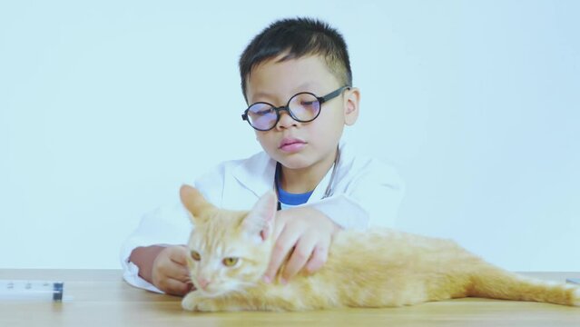 Asian boy dressed as a doctor is treating a cat.