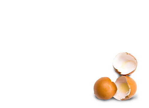 eggs and eggshell isolated on white background
