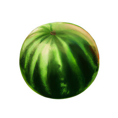 fruit watermelon food - isolated illustration transparent background - digital painting