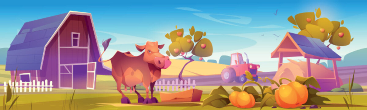 Farm landscape with cow gaze near wooden barn, tractor plow field, hay, ripe pumpkins and fruit trees in garden. Agriculture and farming countryside, village background, Cartoon vector illustration