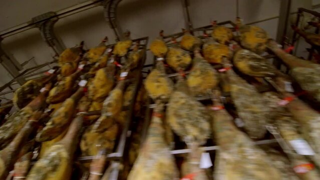 wide travelling shoot of rack full of ham legs hanging in a industry of legs of Iberian ham, where it is seen in the reflections of light on the black brown skin of Iberian pig on huge factory full