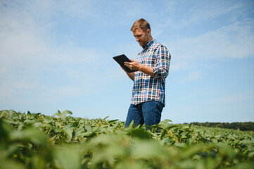 farmer agronomist in soybean field checking crops. Organic food production and cultivation