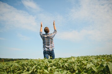 farmer agronomist in soybean field checking crops. Organic food production and cultivation