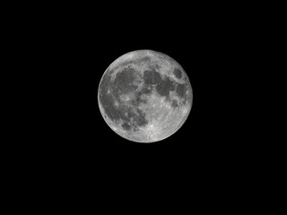 P7130331 July 13 2022 full buck moon, b & w, cECP 2022