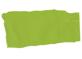 ripped piece of horizontal green paper note