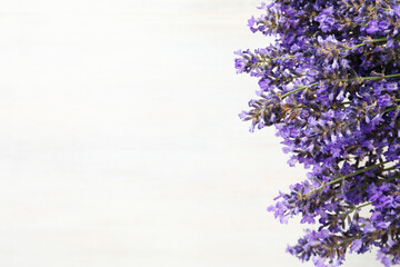 Beautiful lavender flowers on white textured background, space for text