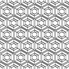 Geometric seamless pattern with zigzag hexagon black and white hand drawing vector pattern