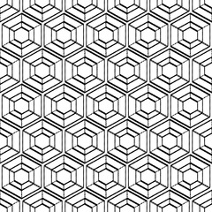 Geometric seamless pattern with zigzag hexagon black and white hand drawing vector pattern