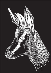 Vector portrait of fallow deer isolated on black, forest animal feline