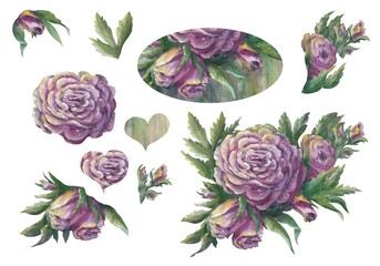 A set of illustrations of lilac roses on a white background for creating cards, designing wedding invitations, etc.