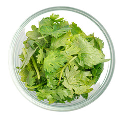 fresh cilantro in glass cup on white background