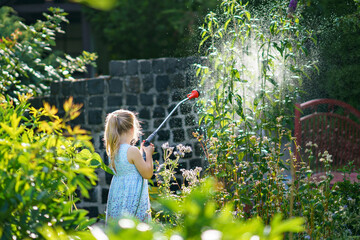 Happy little girl playing with a garden hose on hot and sunny summer evening. Preschool child...