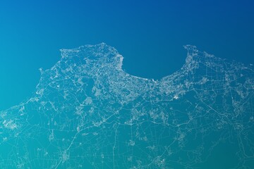 Map of the streets of Algiers (Algeria) made with white lines on greenish blue gradient background. 3d render, illustration