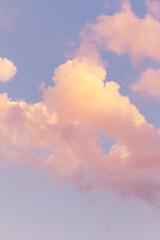 Vertical shoot, sunset with clouds. Dramatic pink cloud landscape at dusk sunrise sunset blue sky.