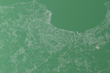 Stylized map of the streets of Algiers (Algeria) made with white lines on green background. Top view. 3d render, illustration