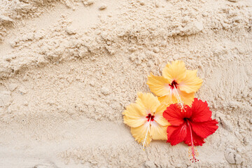 Yellow and red hibiscus on sand beach background. © tienuskin