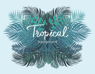 Tropical palm leaf summer plant with nature frame banner. Room for text, lettering. Vector design illustration.