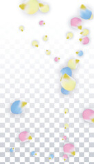 Vector Realistic Colorful Petals Falling on Transparent Background.  Spring Romantic Flowers Illustration. Flying Petals. Sakura Spa Design. Blossom Confetti. Design Elements for Wedding Decoration.