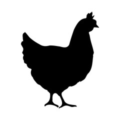 Black silhouette of a chicken. Vector illustration. Agriculture