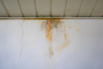 Flooding rainwater or floor heating systems, causing damage, peeling paint and mildew.