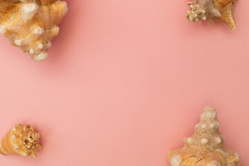 Fototapeta na wymiar Frame of seashells on a pink background