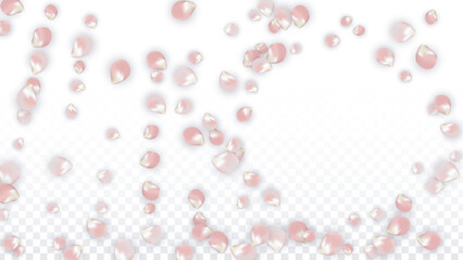Pink Vector Realistic Petals Falling on Transparent Background.  Spring Romantic Flowers Illustration. Flying Petals. Sakura Spa Design. Blossom Confetti. Design Elements for Wedding Decoration.