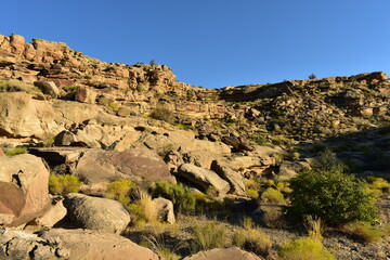 Fototapeta premium red rock canyon