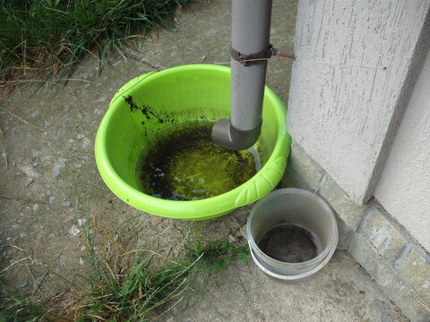 Drinking bowl for animals from rainwater collected from the roof