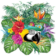 Crédence de cuisine en verre imprimé Dessiner Portrait floral de perroquet ara bleu sortant de l& 39 illustration vectorielle de la jungle exotique
