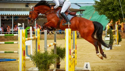 Foto op Canvas Jumping horse with rider in a tournament jumping over a triple bar.. © RD-Fotografie