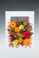 Thanksgiving Halloween and Autumn background border with leaves, flowers, berries and nuts. Nature Fall composition with natural flora. White frame on gradient grey. Flat lay.