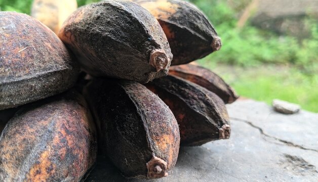 closeup of a banana that is starting to rot or turn black