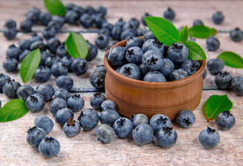 Freshly picked blueberries in wooden bowl. Bilberry on wooden background.