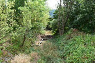 trockener Rheinarm