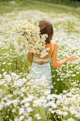 Young stylish woman in dress enjoys summer time, spending leisure time, gathering wild flowers in daisy field