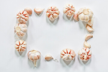 garlic on a white background