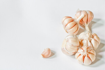 garlic on a white background