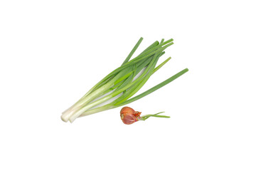 Fresh bunch green spring vegan onions