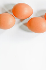 eggs on a white background