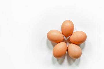 eggs on a white background