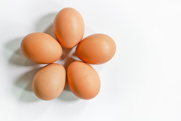 eggs on a white background