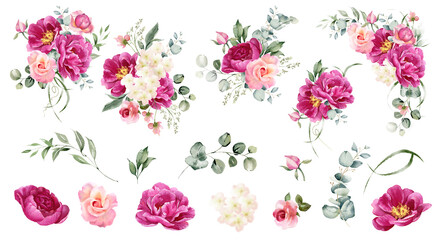 Watercolor flowers large set. Pink peony, rose flower, hydrangea and eucalyptus branches. Floral arrangement for card, invitation, decoration. Illustration isolated on white background