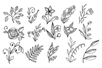 Fototapeta premium set of hand drawn doodle plant elements for floral design concept