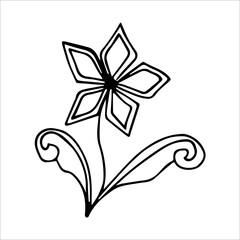 hand drawn doodle plant element for floral design concept